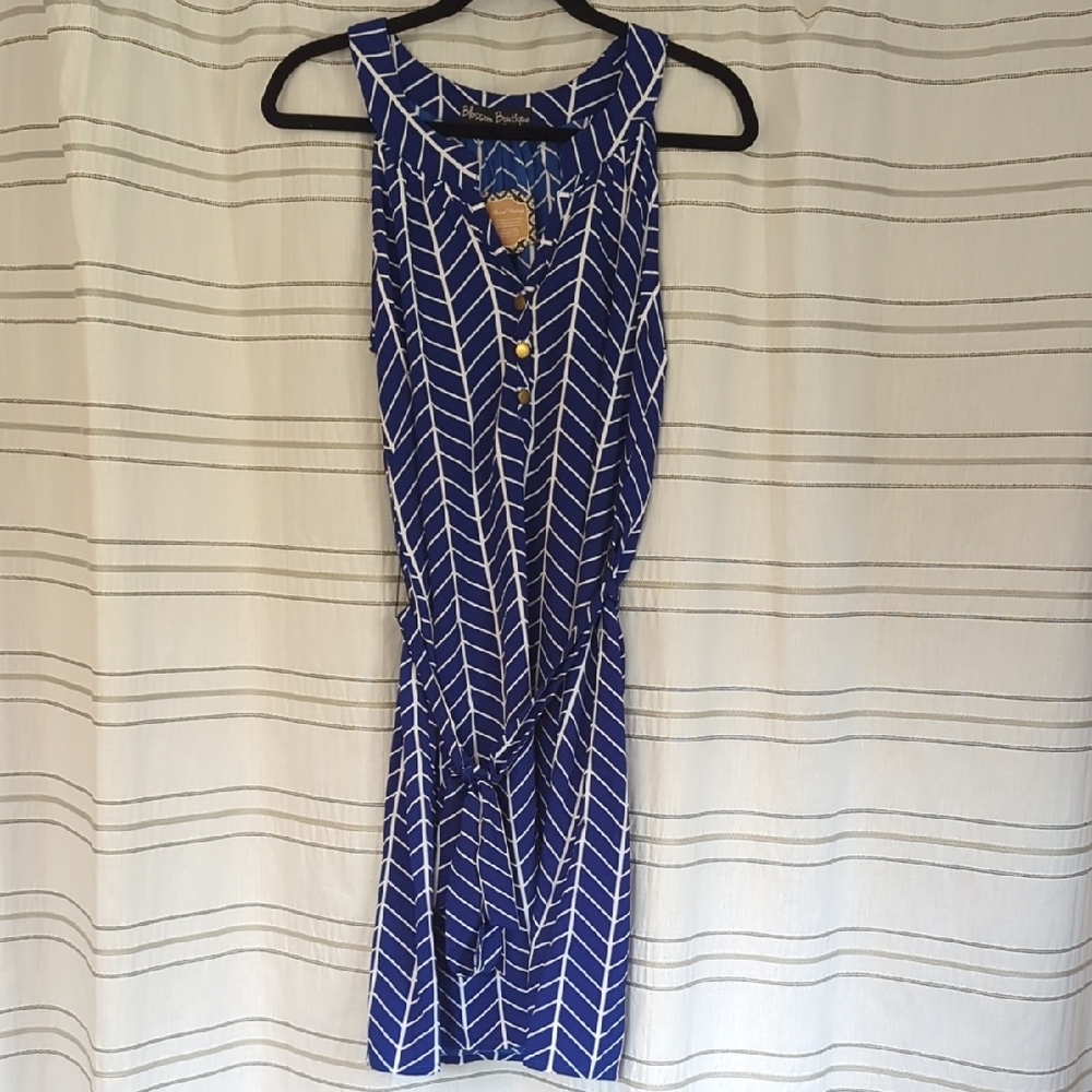 Blue and White Sleeveless Dress